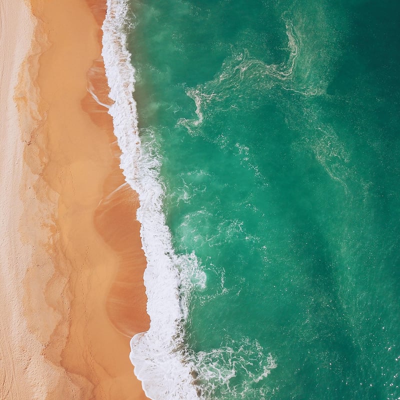 Mediterranean Delights